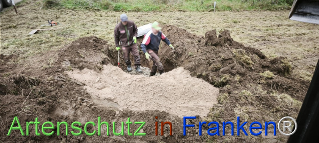 Bild zum Eintrag (1127511-160)