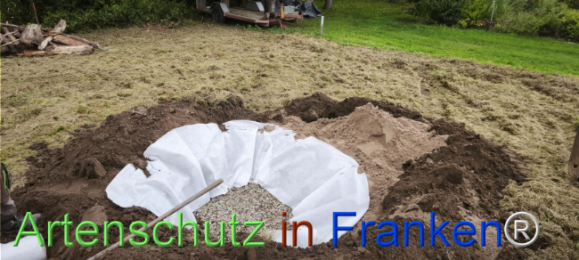 Bild zum Eintrag (1127512-160)