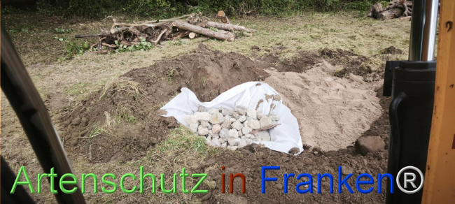 Bild zum Eintrag (1127513-160)