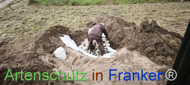 Bild zum Eintrag (1127517-160)