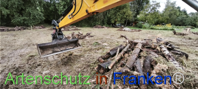 Bild zum Eintrag (1127518-160)