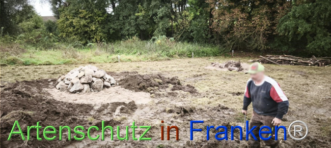 Bild zum Eintrag (1127519-160)