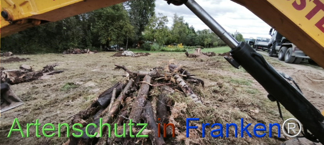 Bild zum Eintrag (1127520-160)