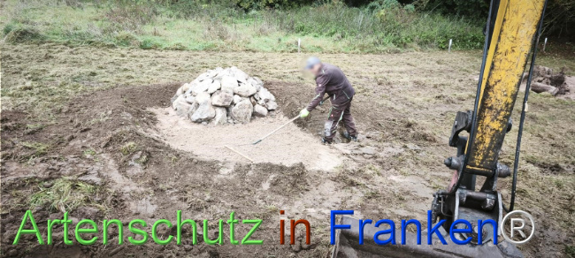 Bild zum Eintrag (1127521-160)