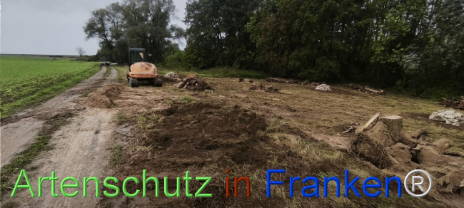 Bild zum Eintrag (1127522-160)