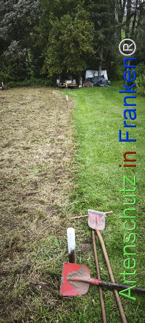 Bild zum Eintrag (1127523-160)