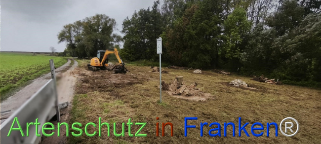 Bild zum Eintrag (1127524-160)