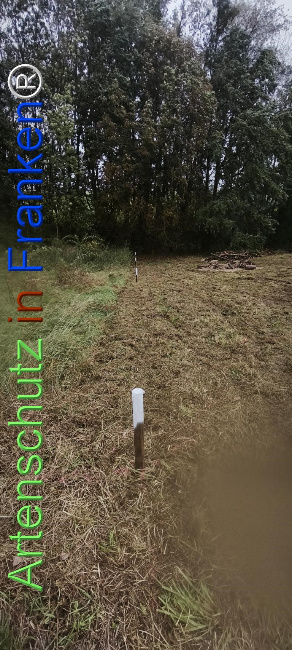 Bild zum Eintrag (1127525-160)