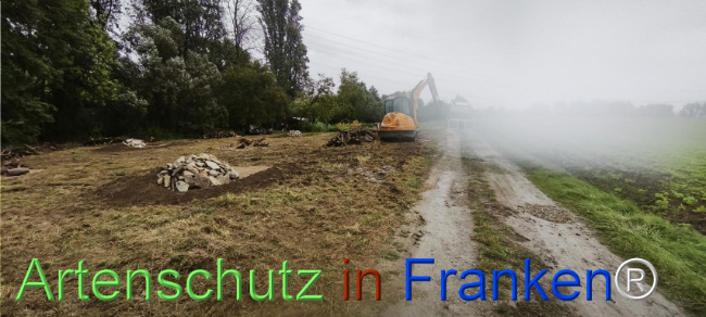 Bild zum Eintrag (1127527-160)