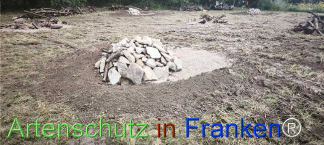 Bild zum Eintrag (1127528-160)