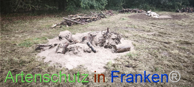 Bild zum Eintrag (1127529-160)