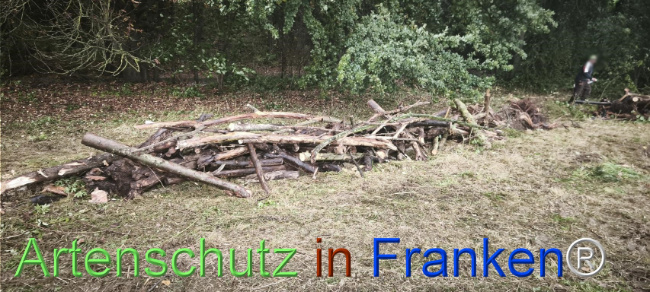 Bild zum Eintrag (1127530-160)