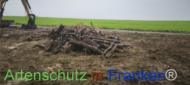 Bild zum Eintrag (1127532-160)