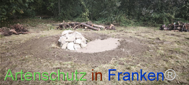 Bild zum Eintrag (1127533-160)