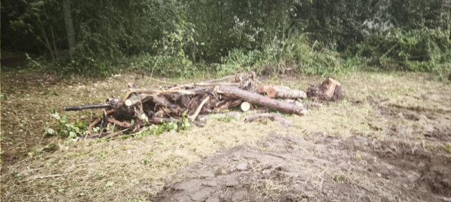 Bild zum Eintrag (1127534-160)