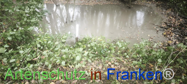 Bild zum Eintrag (1127535-160)