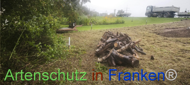 Bild zum Eintrag (1127538-160)