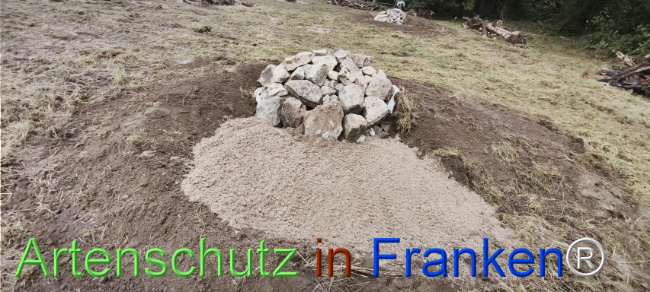 Bild zum Eintrag (1127539-160)