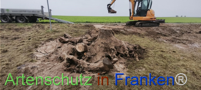 Bild zum Eintrag (1127540-160)