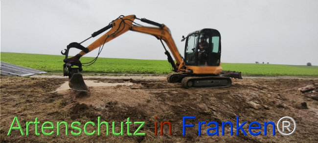 Bild zum Eintrag (1127541-160)