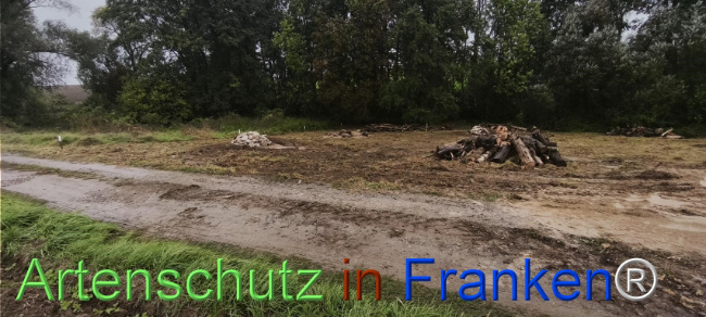 Bild zum Eintrag (1127542-160)