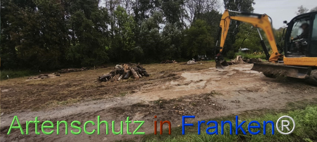 Bild zum Eintrag (1127543-160)