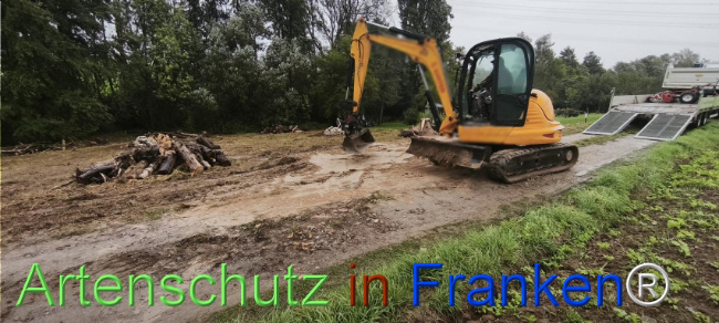 Bild zum Eintrag (1127544-160)