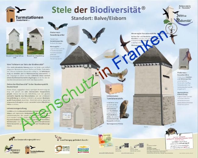 Bild zum Eintrag (1127820-160)