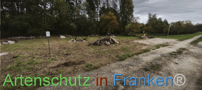 Bild zum Eintrag (1128072-160)