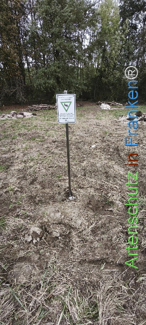 Bild zum Eintrag (1128073-160)