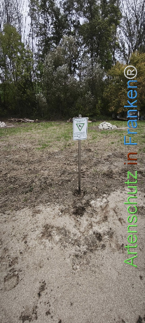 Bild zum Eintrag (1128074-160)