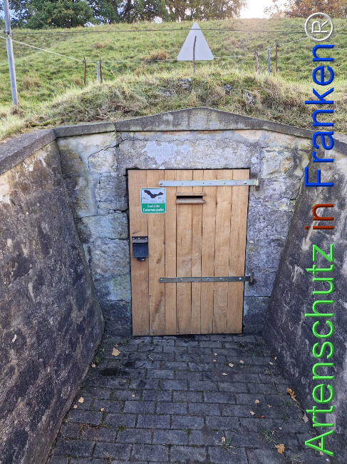 Bild zum Eintrag (1128302-160)