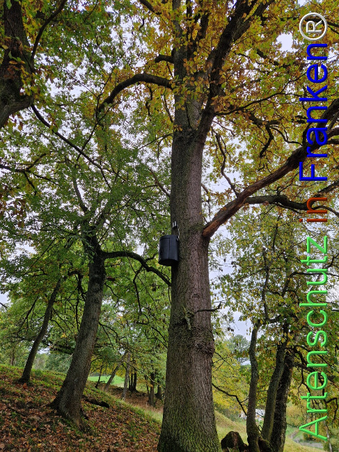 Bild zum Eintrag (1128316-160)