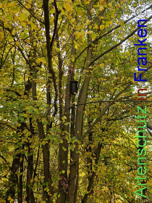 Bild zum Eintrag (1128318-160)