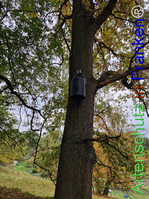 Bild zum Eintrag (1128319-160)