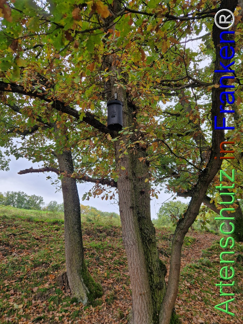 Bild zum Eintrag (1128321-160)