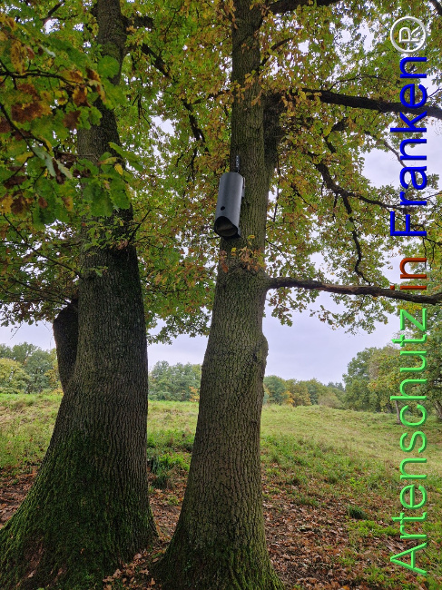 Bild zum Eintrag (1128322-160)