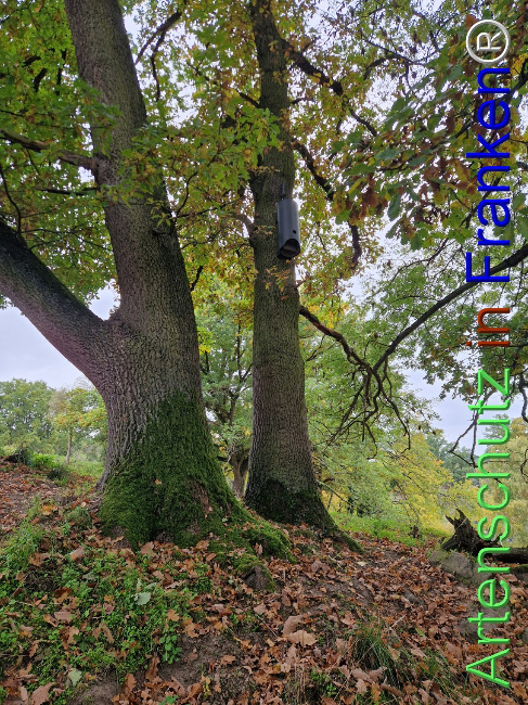 Bild zum Eintrag (1128323-160)