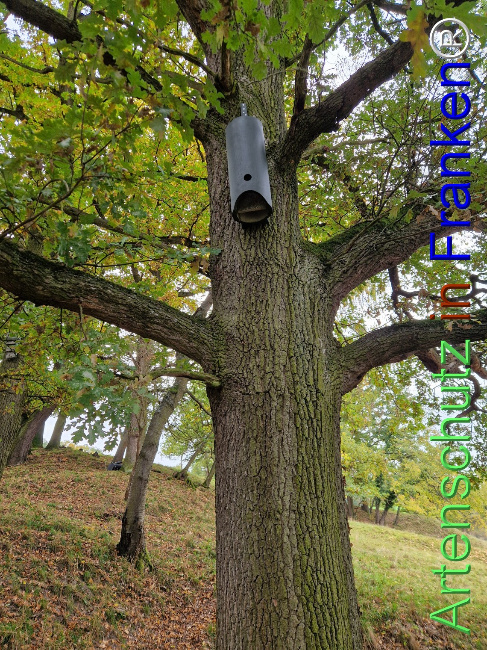 Bild zum Eintrag (1128335-160)