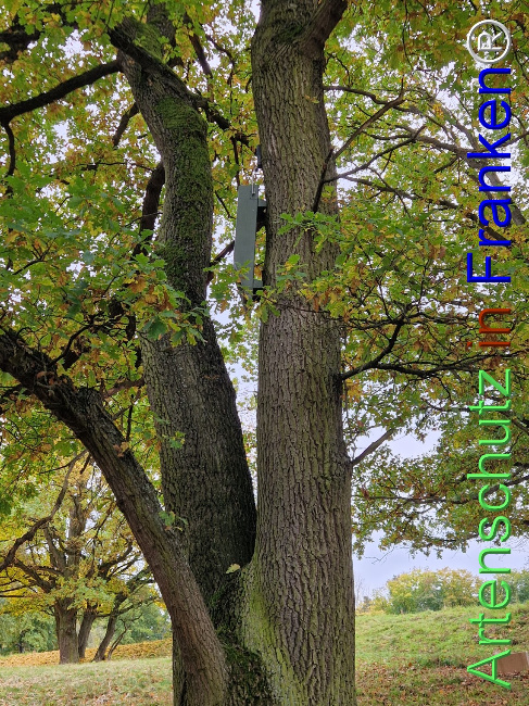 Bild zum Eintrag (1128336-160)