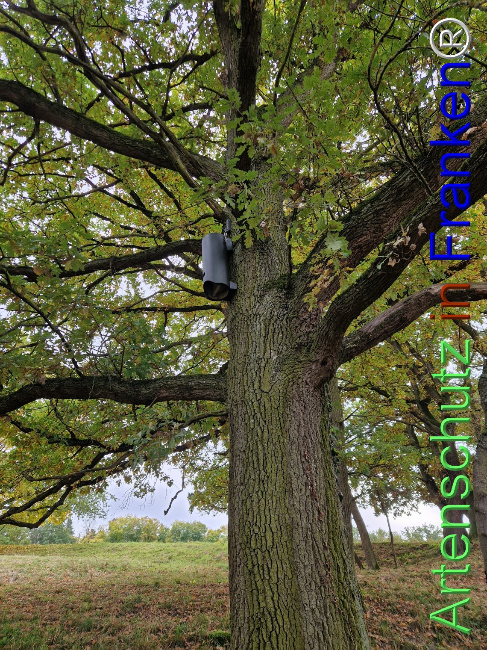 Bild zum Eintrag (1128337-160)