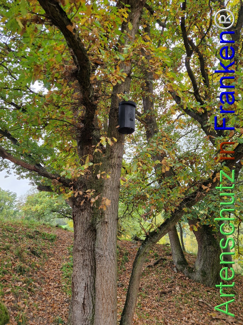 Bild zum Eintrag (1128341-160)