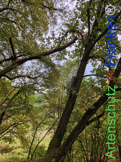 Bild zum Eintrag (1128342-160)