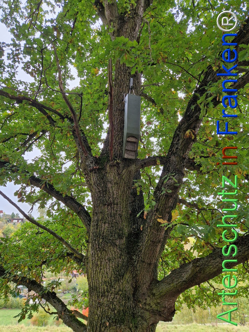 Bild zum Eintrag (1128343-160)