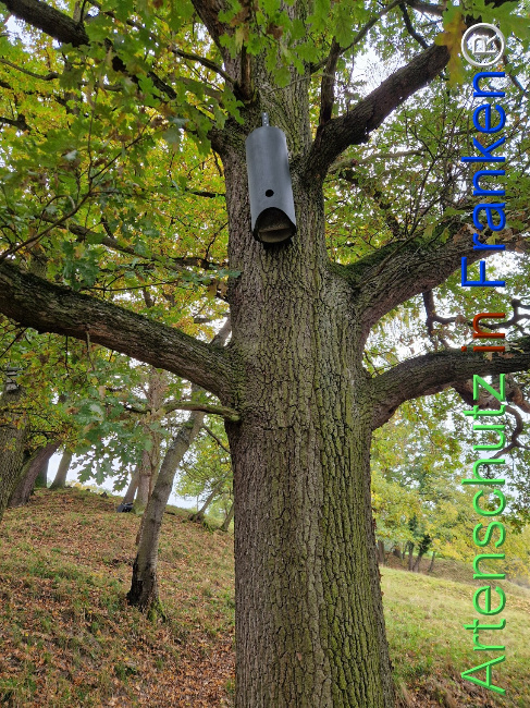 Bild zum Eintrag (1128360-160)