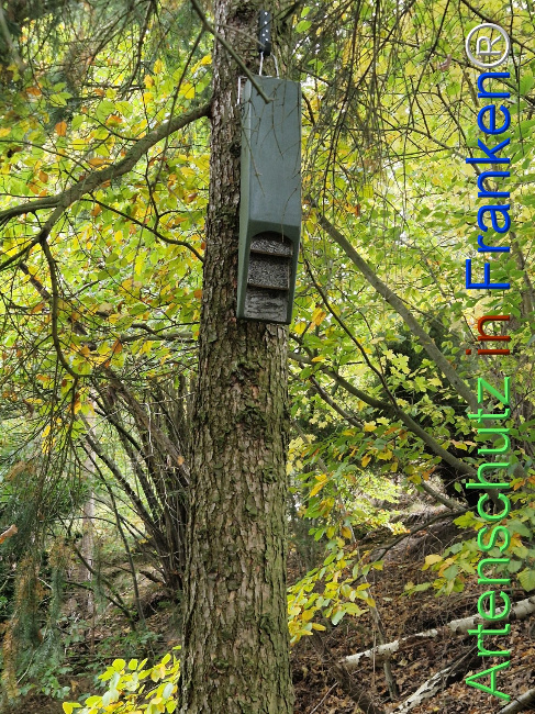 Bild zum Eintrag (1128361-160)