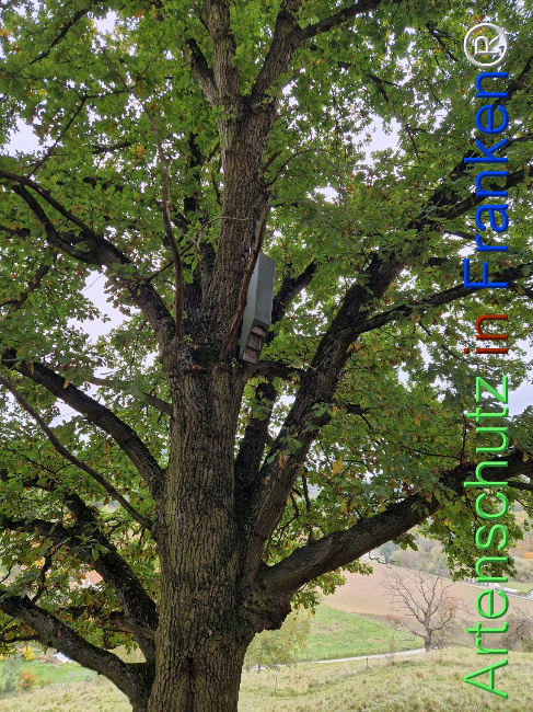 Bild zum Eintrag (1128362-160)