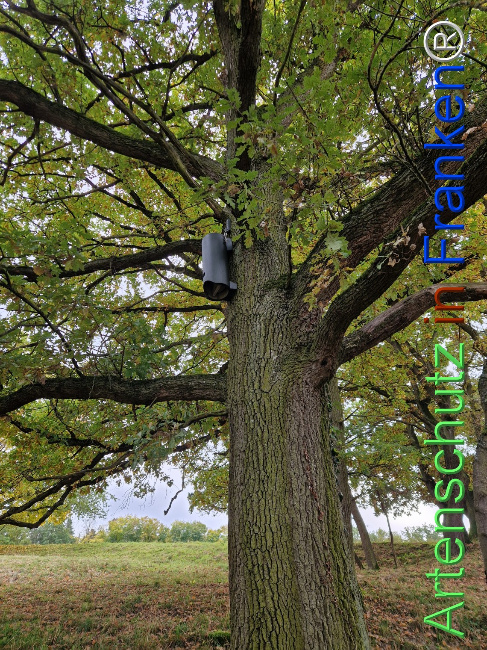 Bild zum Eintrag (1128363-160)