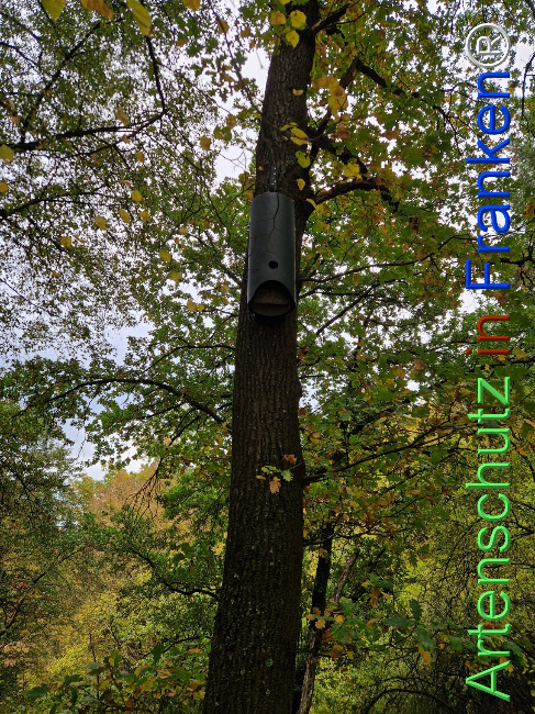 Bild zum Eintrag (1128364-160)