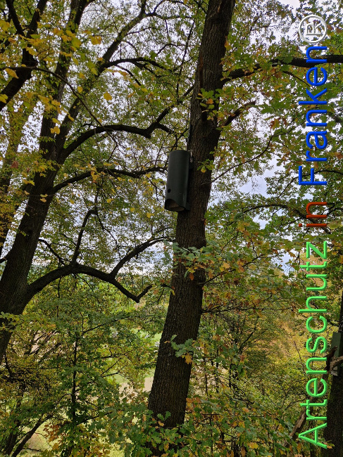 Bild zum Eintrag (1128365-160)